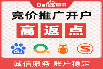 百度竞价代理的投放技巧与效果评估案例