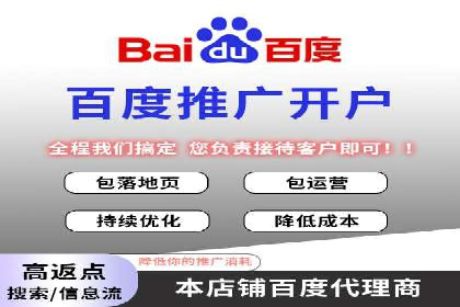 百度竞价排名机制：成功案例与策略探讨